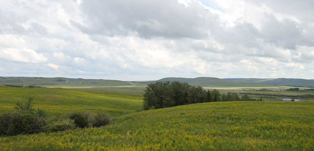 Montana Reservation